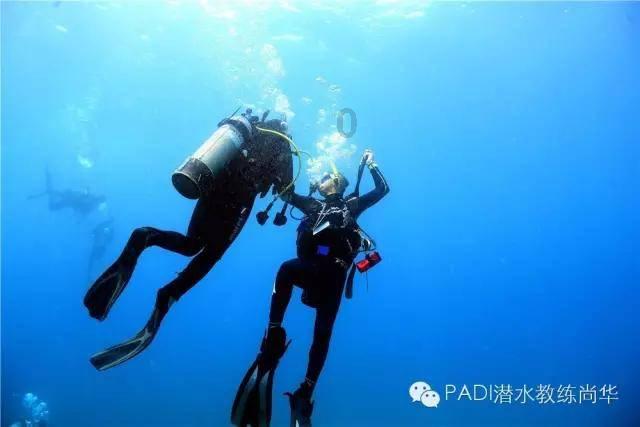 探索先后与刘诗诗、刘涛这样的大咖合作,刘宇宁要爆火了吗?- 无限问答社区